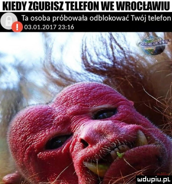 kieiiy zgiibisi telefon we wrocław ta osoba probowała odblokować twój telefon