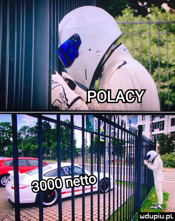 m misha t ż