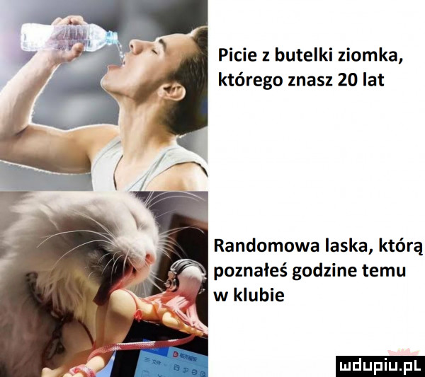 picie butelki ziomka którego znasz    lat randomowa laska którą poznałeś godzine temu w klubie ludu iu. l