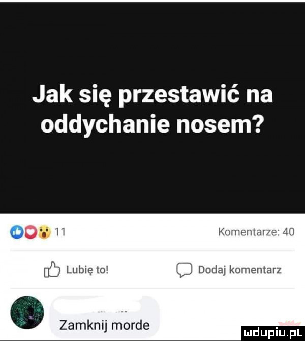 jak się przestawić na oddychanie nosem komentarze    dodaj komentarz. zamknij morde