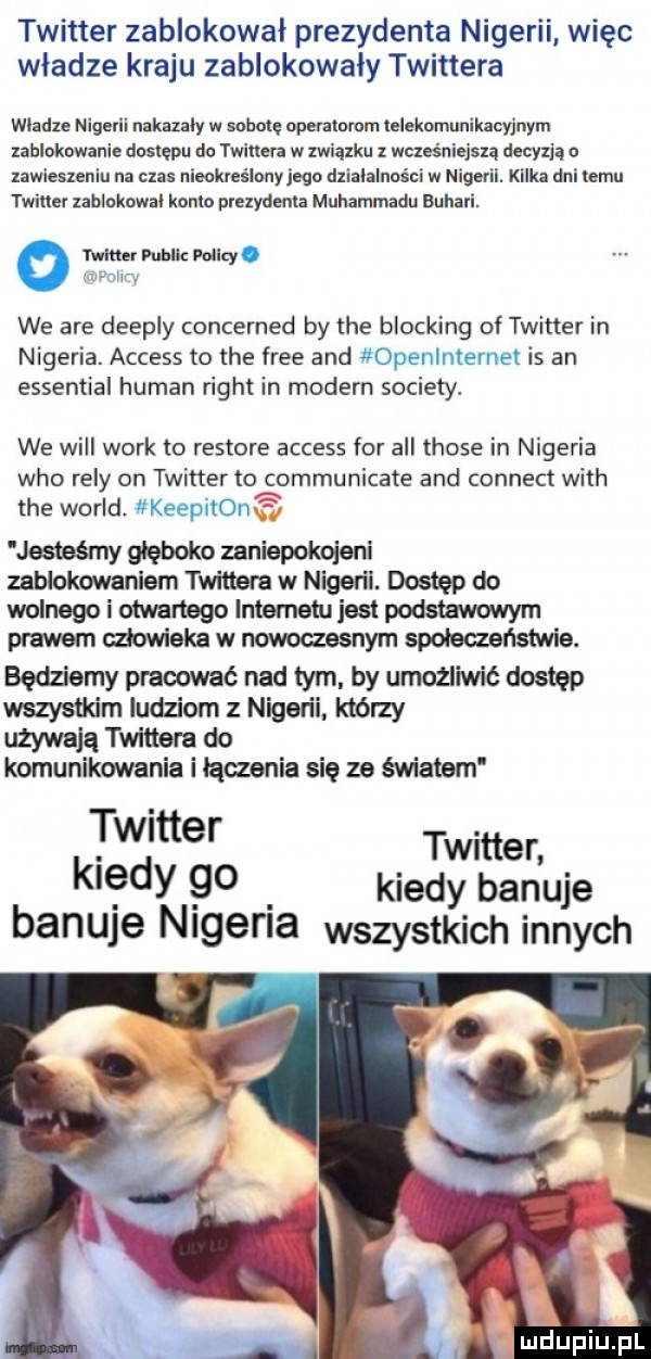twitter zablokował prezydenta nigerii więc władze kraju zablokowały twittera wdam nigerii nakazały w sobotę operatorom telekomunikacyjnym zablokowanie dostępu do twitter w związku wcześniejszą decyzją o lawleszenlu na czas nieokreślony jego działalności w nigeril. kilka dni temu twitter zablokował kanio prezydenta muhammadu buhari. we are deeply concerned by tee blocking of twitter in nigeria. access to tee free and openlnternet is an essential human right in modern sowiety. we will werk to restore access for all those in nigeria who redy on twitter to communicate and connect with tee wored keepiron jimmy głęboko zaniepokojeni zablokowaniem twistera w nigerii. dostęp do wolnego i otwartego internetu jest podstawowym prawem człowieka w nowoczesnym spoleczenstwie. będziemy pracować nad tym by umońiwić dostęp wszystkim ludziom z nigel ii którzy używają twlltera do komunikowania i łączenia się ze świalsm twitter twitter kiedy    kiedy banuje banuje nigeria wszystkich innych
