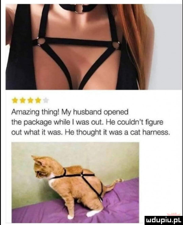 amazmg thing my husband opened tee package weile i was out he couldn t figure out wiat it was. he thought it was a cat harness