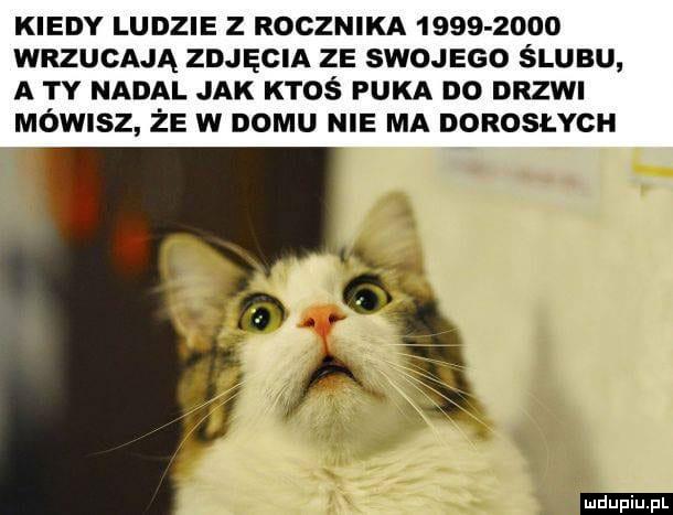 Kiedy ludzie