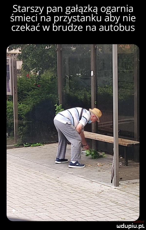 starszy pan gałązką ogarnia śmieci na przystanku aby nie czekać w brudze na autobus