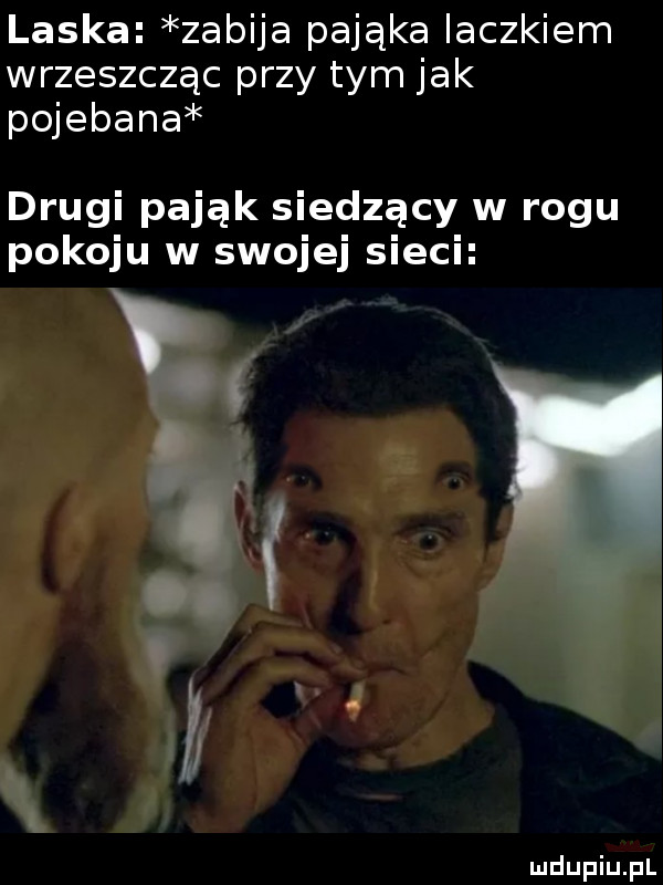 laska zabija pająka iaczkiem wrzeszcząc przy tym jak pojebana drugi pająk siedzący w rogu pokoju w swojej sieci