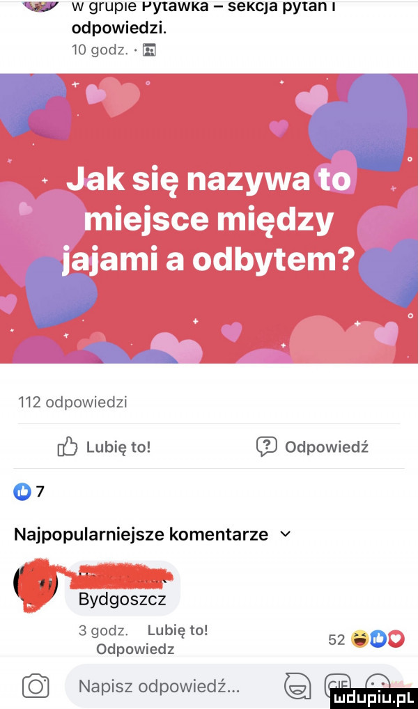 w w grupie pytawxa sekcie pytan odpowiedzi.    godz.   x h     odpowiedzi ó lubię to odpowiedź    najpopularniejsze komentarze v bydgoszcz   godz. lubię to odpowiedz napisz odpowiedź. mad uplu pl    s