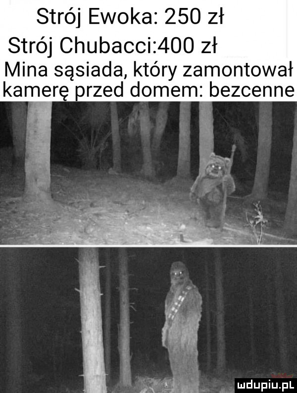 strój ewoka     zł strój chubacci     zł mina sąsiada który zamontował kamerę reed domem bezcenne
