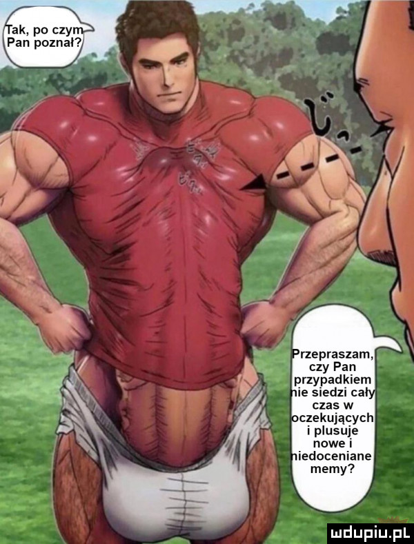 rzepraszam. czy pan i plusuie nowe i iedoceniane memy
