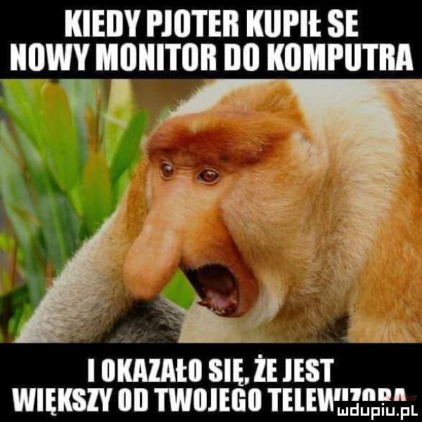 kiedy pjiiteii kijpii se iiijwv monitor ibl kompiitiia  . u. g v cc inxnlntoslﬁmsr wierszy un twnliun telemłęę iłłl