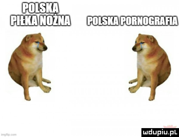 niska p iiłiiiieiłafia i iilsiul manin ludu iu. l