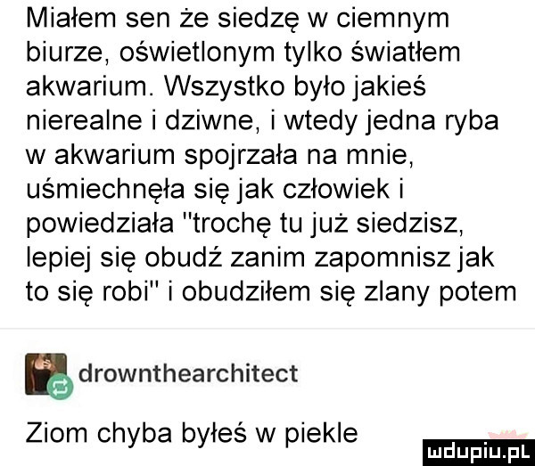 miałem sen że siedzę w ciemnym biurze oświetlonym tylko światłem akwarium. wszystko było jakieś nierealne i dziwne i wtedy jedna ryba w akwarium spojrzała na mnie uśmiechnęła się jak człowiek i powiedziała trochę tu już siedzisz lepiej się obudź zanim zapomnisz jak to się robi i obudziłem się zlany potem ę drownthearchitect ziom chyba byles w piekle