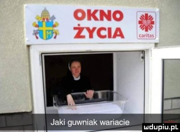 jaki guwniak wariacie