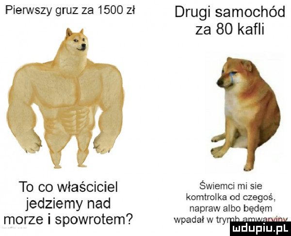 pierwszy gruz za      zł p j to co właściciel jedziemy nad morze i spowrotem drugi samochód za    kafli świemci mi sie kontrolka od czegoś napraw abbo będęm wpadalwtry. ludupl