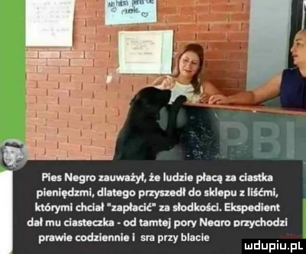 pm negro uuwatyl że ludzi. pbq n clutt plnnlquml dlatego przyu dł du ind pu ilia nl któryml dvd ł nphdć u dodkośd. elupodlom dni mu dumb od um pory neum przychodzi prawi. odzlonnlol sra przy blacie ludupiu il