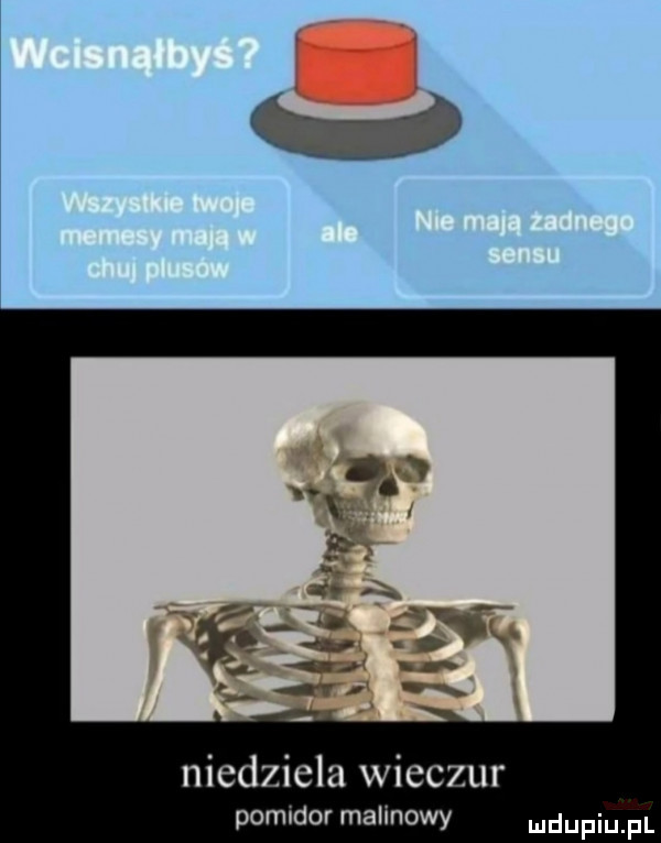 niedziela wilczur pomidor malinowy udupiu pl