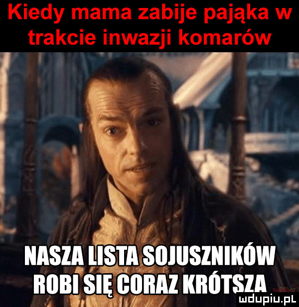 kiedy mama zabije pająka w trakcie inwazji komarów   nasza ęqiiiszników nam nico knots