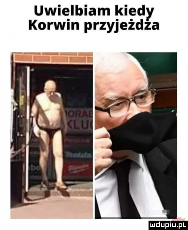 uwielbiam kiedy korwin przyjeżdża ludu iu. l