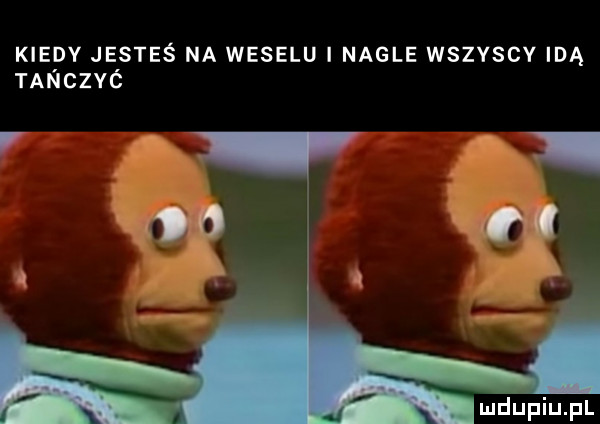 kiedy jesteś na weselu nagle wszvscv idą tachać