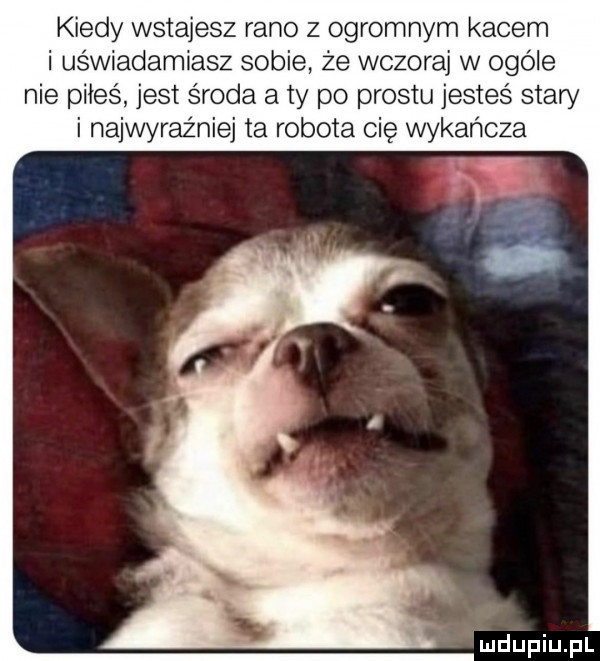 kiedy wstajesz rano z ogromnym kacem i us wiadamiasz sobie że wczoraj w ogóle nie piłes jest środa a ty po prestu jestes stary i najwyraźniej ta robota cię wykańcza