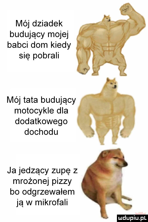 mój dziadek budujący mojej babci dom kiedy się pobrali mój tata budujący motocykle dla dodatkowego dochodu ja jedzący zupę z mrożonej pizzy bo odgrzewałem ją w mikrofali ludu iu. l