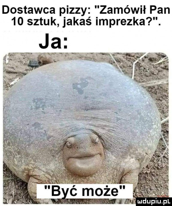 dostawca pizzy zamówił pan    sztuk jakaś imprezka. jej