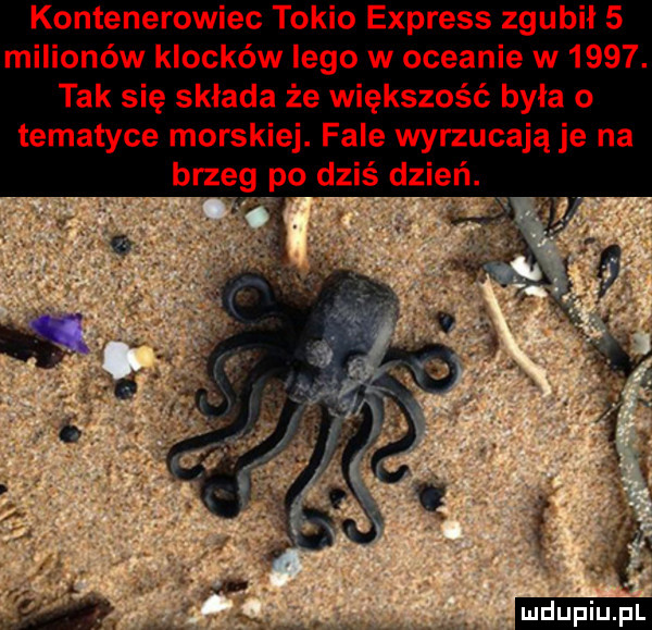 kontenerowiec tokio express zgubił   milionów klocków lego w oceanie w     . tak się składa że większość była o tematyce morskiej. fale wyrzucają je na brzeg po dziś dzień