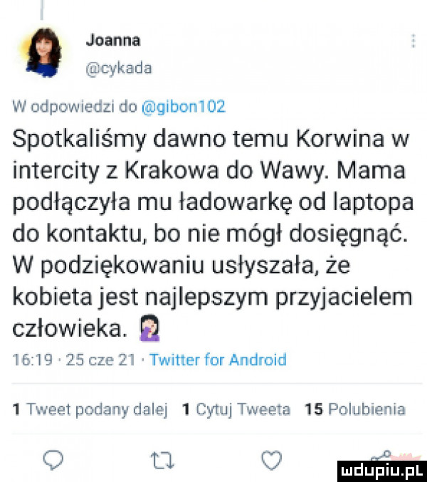 joanna i cykada w odpowiedzi du gibonl    spotkaliśmy dawno temu korwina w intercity z krakowa do w-wy. mama podłączyła mu ładowarkę od laptopa do kontaktu bo nie mógł dosięgnąć. w podziękowaniu usłyszała że kobieta jest najlepszym przyjacielem człowieka. le       cze el twmerfor android   tweet podany dalej   cytuj trat  m    pcluhlema q u