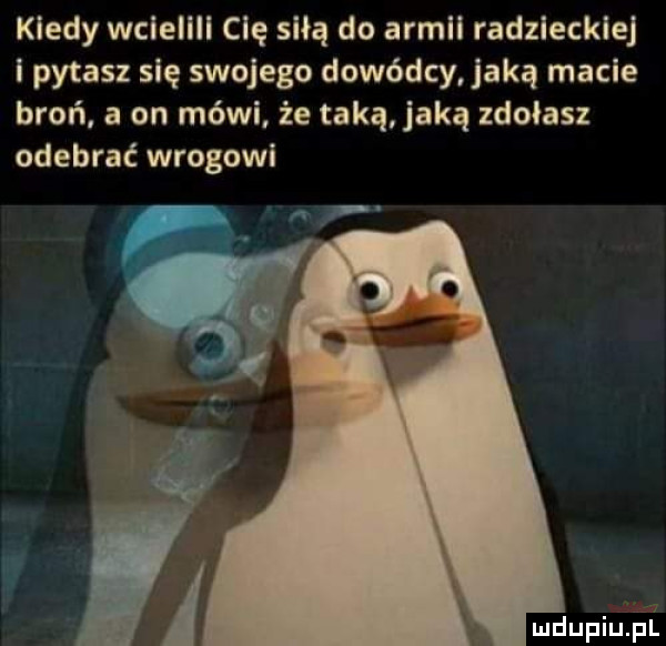 kiedy wclellll clę siłą do armil radzieckiej i pytasz się swojego dowódcy jaką macie broń a on mówi że taką jaką zdołasz odebrać wrogowi mdupiuﬁi