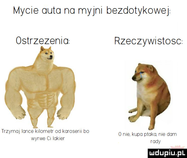 mycie auto no myjni bezdotykowej ostrzezeni o rzeczywistosc trzyma lance kllomelr od korcsern bo wyrwe c. lukier o me. kupa ptaka nie dam rady ludu iu. l
