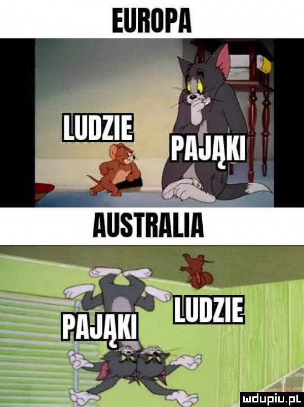 europa a ludzieśpmąm ją australia p w tag amdﬂfaiupl
