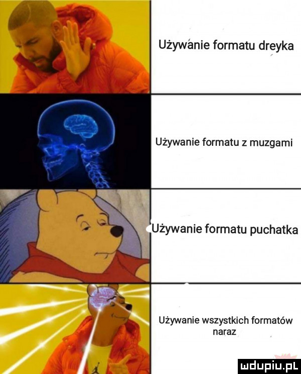 używanie formatu dredka używanie formatu mozgami używanie formatu puchatka używanie wszystkich formatów naraz