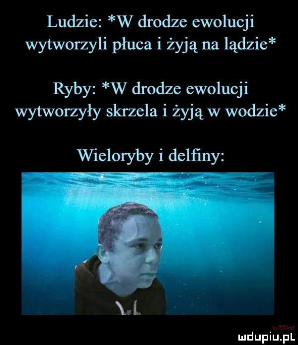 ludzie w drodze ewolucji wytworzyli płuca i żyją na lądzie ryby w drodze ewolucji wytworzyły skrzela i żyją w wodzie wieloryby i delfiny l