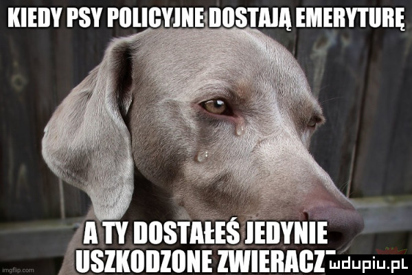 kieiiy psy i llliyliie iiiistaią emeiiytiiiie gnnnusiﬂt isélinvmi. vuszlmnane manual mmm