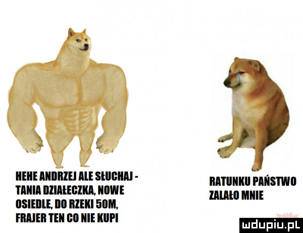 xx rk łfl iieiie iiiiiiiiei ibl slllcllﬂ tiiiii musem ibl osuwu ilii iiieii   m haier tall an icie iiipi z ibl llllllll pi isiwii nam imiie ludu iu. l