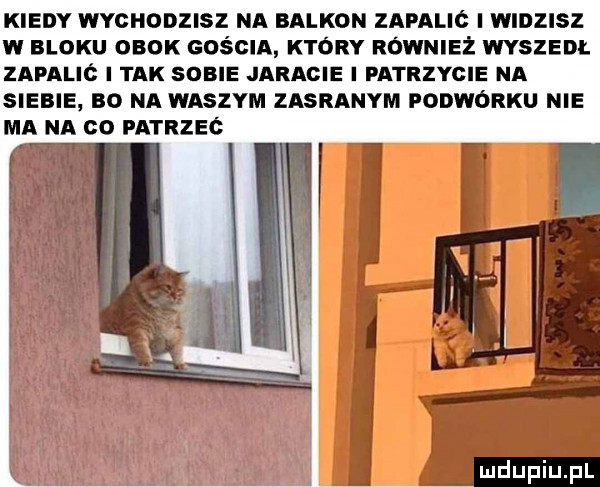 kiedy wychodzisz na balkon zapalic i widzisz w bloku obok gościa który również wyszedi. zapalic i tak sobie jaracie i patrzycie na siebie bo na waszym za rabym fobworku nie ma na co patrzeć