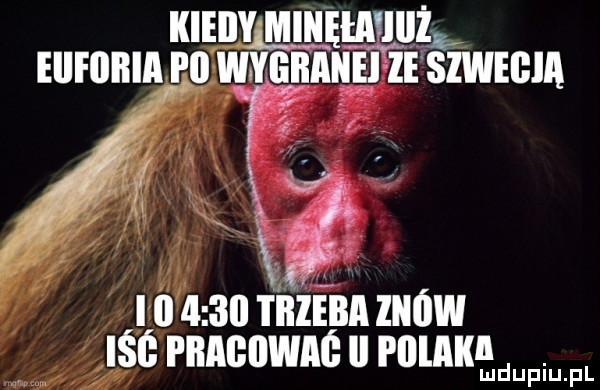 kieiiy iii willi eiifiibia i ll wygbaęiiei że sżwegia       mm znow ii ube rnnunwne u mucu