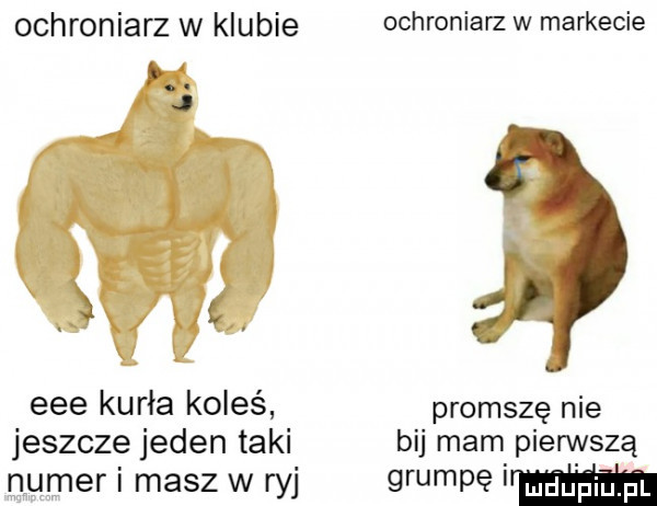 ochroniarz w klubie. j eee kuria koleś jeszcze jeden taki numer i masz w ryj ochroniarz w markecie promszę nie bij mam pierwszą grumpę a