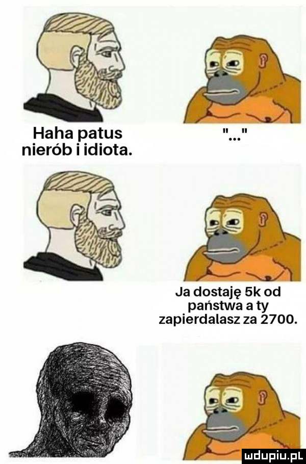 haba patus nierób i idiota. ja dostaję  k od państwa a ty zapierdalasz za