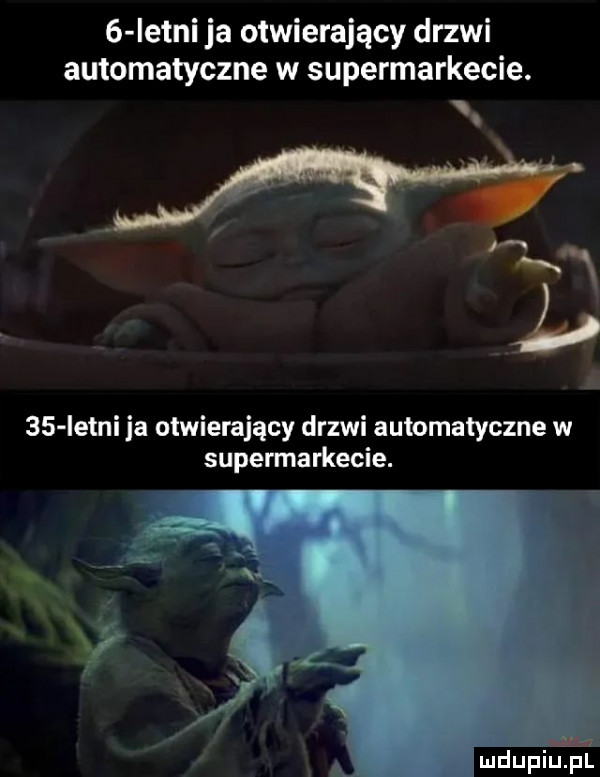 istni ja otwierający drzwi automatyczne w supermarkecie. x. y. i    letni ja otwierający drzwi automatyczne w supermarkecie