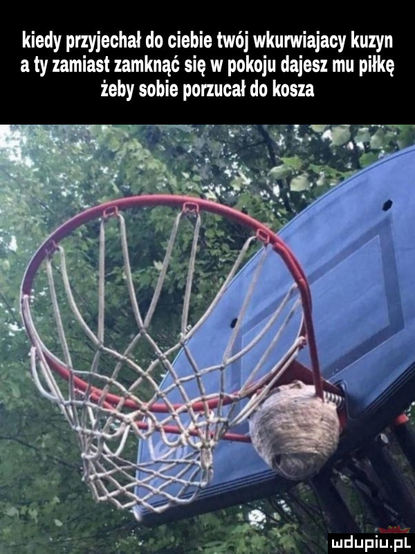 kiedy przyjechal do ciebie twoi wkurwiajaey kuzyn a ty zamiast zamknąć siew pokoju dajesz mu piłkę żeby sobie porzuca do kosza gr