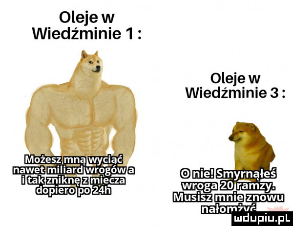 oleje w wiedz minie   oleje w wiedz minie   nalormm