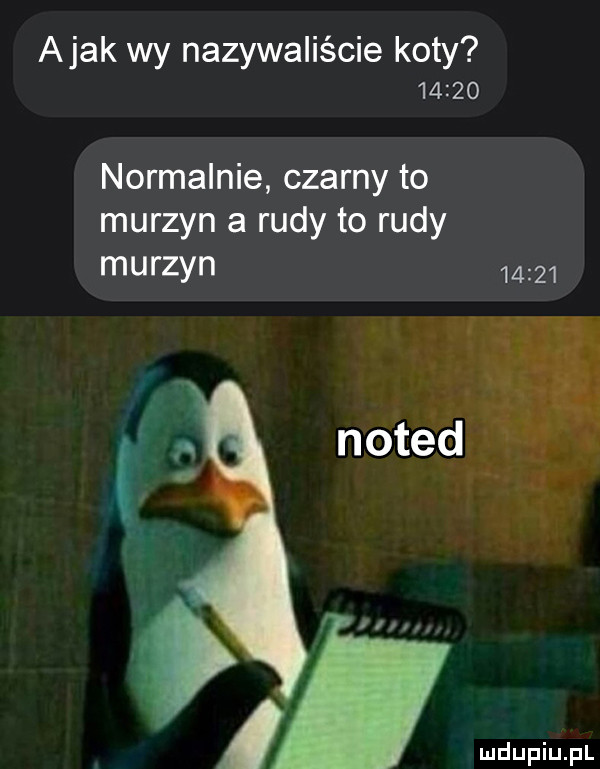 abak wy nazywaliście koty       normalnie czarny to murzyn a rudy to rudy murzyn