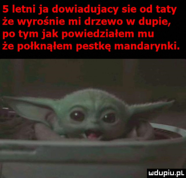 letni ja dowiadujacy sie od taty że wyrośnie mi drzewo w dupie po tym jak powiedziałem mu że połknąłem pestkę mandarynki