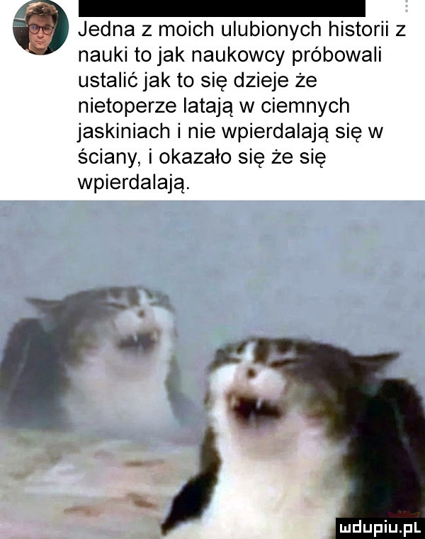 jedna z moich ulubionych historii z nauki to jak naukowcy próbowali ustalić jak to się dzieje że nietoperze latają w ciemnych jaskiniach i nie wpierdalają się w ściany i okazało się że się wpierdalają