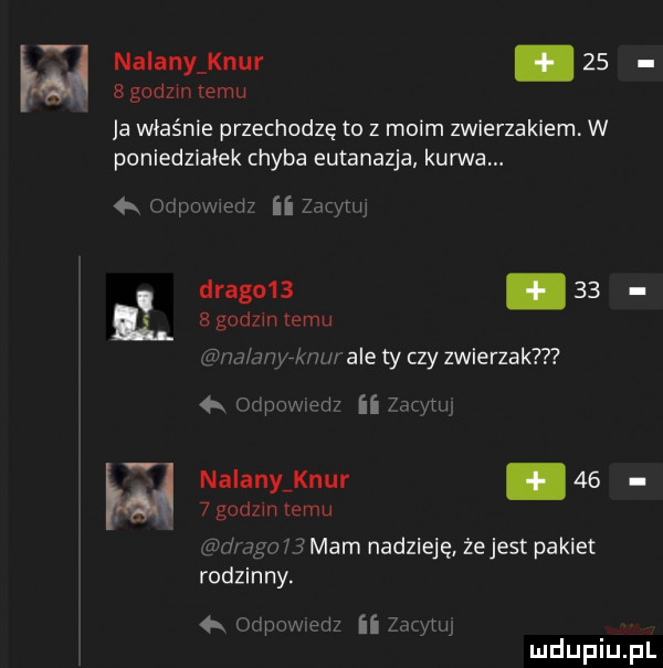 nalany knur    bgodzm temu ja właśnie przechodzę to z moim zwierzakiem w poniedziałek chyba eutanazja kurwa. abakankami man ii z w   gcdzm temu drago      rf m dy wyrahl r ale ty czy zwierzak   owym ii  arynr i. nalany knur      godom temu raw anula mam nadzieję żejest pakiet rodzinny. pr dz ii zatytul
