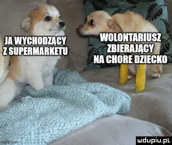 i     an zm ikei mdupqul