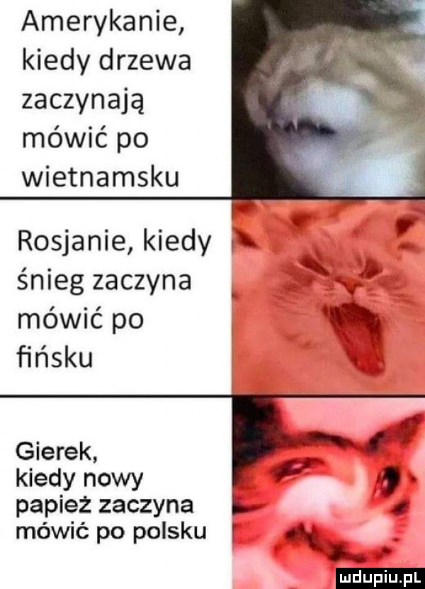 amerykanie kiedy drzewa zaczynają mówić po wietnamsku rosjanie kiedy x. abakankami sleg zaczyna. x mówić po h fińsku x gierek i kiedy nowy r papież zaczyna mówić po polsku i. ludu iu. l