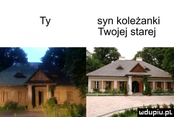 ty syn koleżanki twojej starej