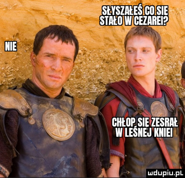 stvsziiś co sie suto w nonna a a f q     wsip. sci zesiim. w leslie j kiiiei