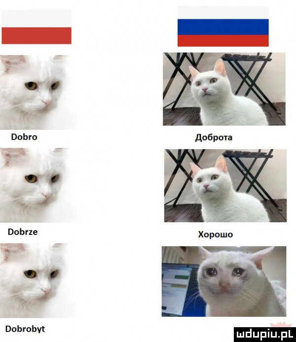 dobrze    i a dobrohvl ludu iu. l